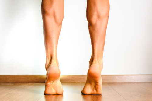 soleus