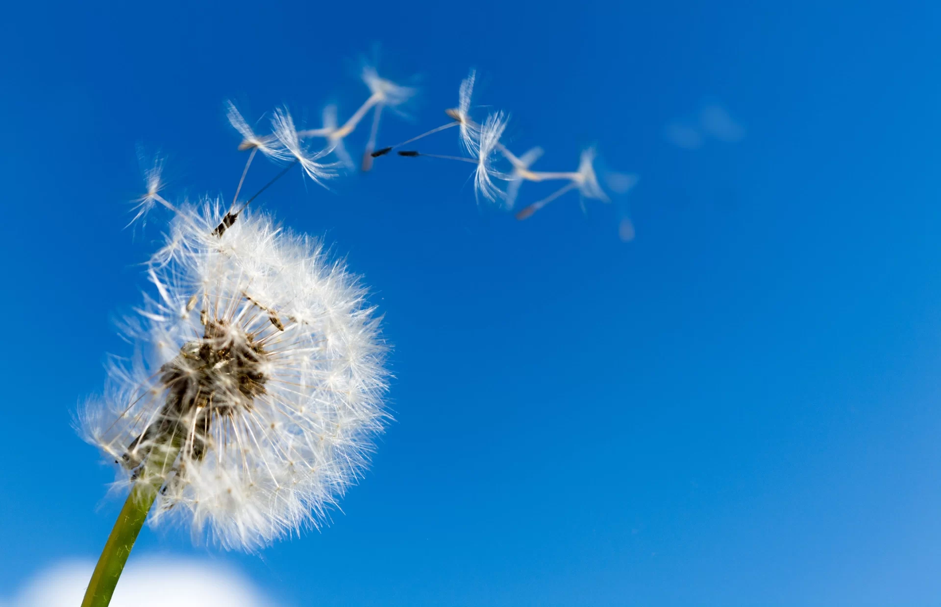 iStock-484863710