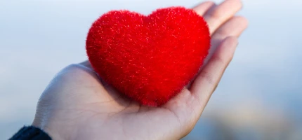 Plan za srce, besplatno izdanje, ilustrativna fotografija