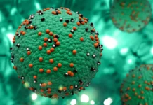 3D prikaz bakterije kao zelenog kruga s crvenim bodljama: koncept sepsa