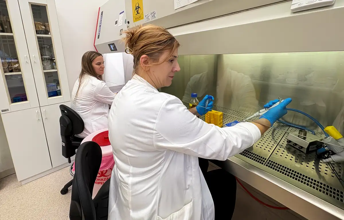 Priprema stolice za postupak FMT-a na Zavodu za mikrobiologiju i parazitologiju Medicinskog fakulteta u Rijeci; fekalna mikrobna transplantacija (FMT)