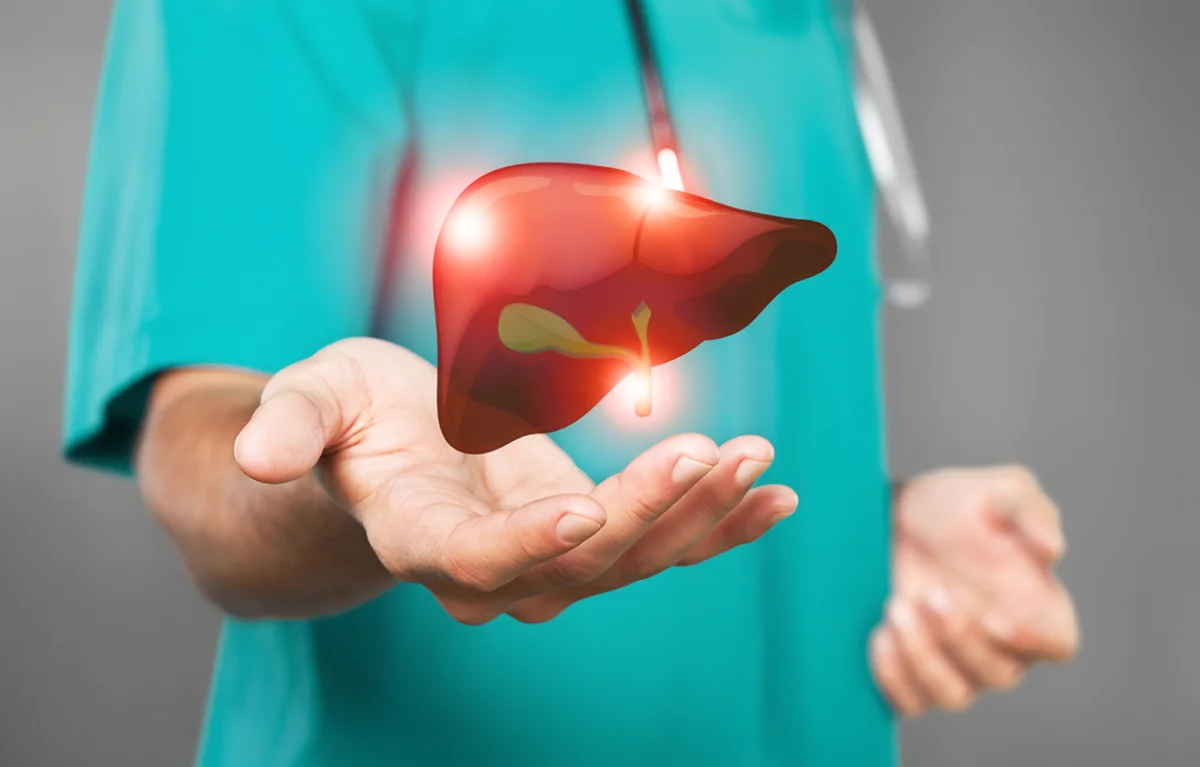 masna-bolest-jetre-akcija-HGD Neprepoznatljivi liječnik drži virtualni prikaz jetre u ruci prema kameri; koncept masna bolest jetre o kojem govore izv. prof. dr. sc. Ivana Mikolašević, prof. dr. sc. Tajana Filipec Kanižaj i dr. sc. Sanja Stojsavljević, u sklopu javnozdravstvene akcije Brini o jetri danas – spriječi rak sutra, koju provode Hrvatsko gastroenterološko društvo i Ministarstvo zdravstva.