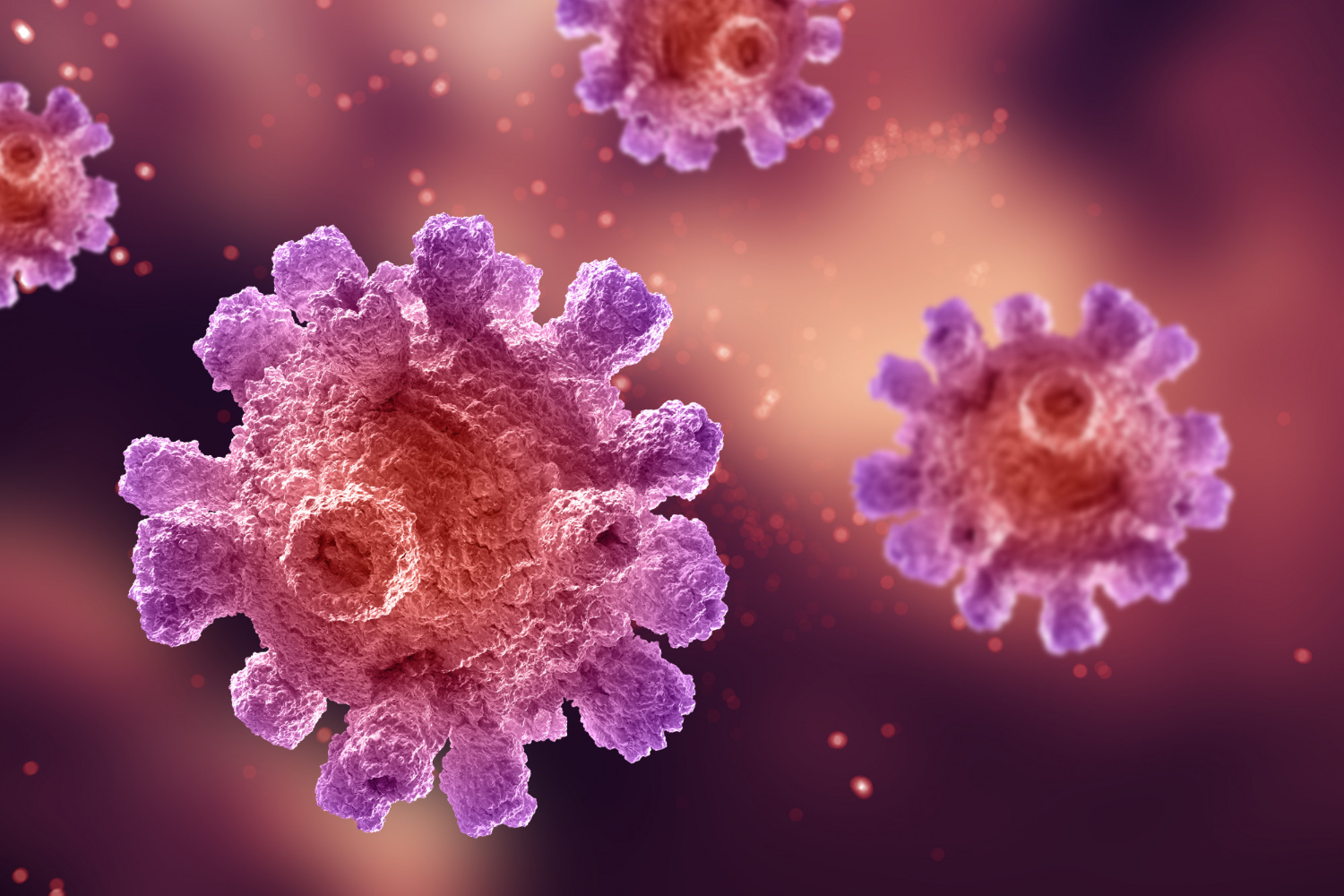 HPV virus